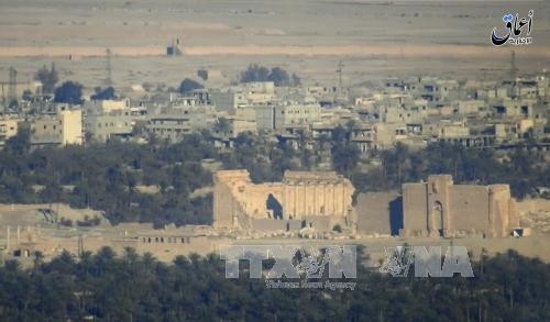 IS retakes Palmyra - ảnh 1